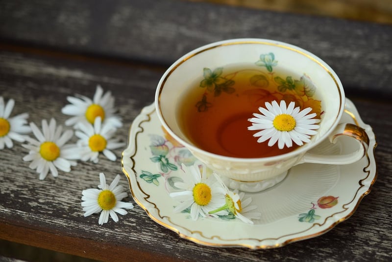 Tea Garden